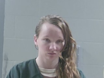 Mugshot of DEBORAH DARLENE TILGHMAN