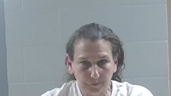 Mugshot of LISA KAYE VICCINELLI