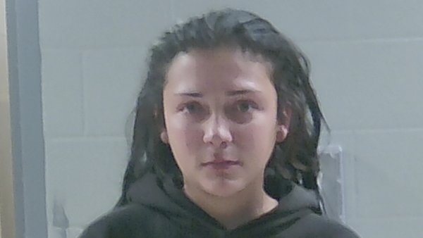 Mugshot of KARA LOVE