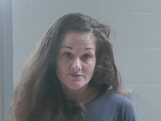 Mugshot of SARA JANE DANIEL
