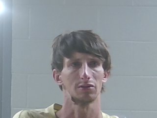 Mugshot of DEREK WADE LEONARD
