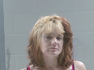Mugshot of BRIANA KELSI RAY BURKINS