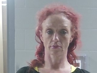 Mugshot of ANDRIEA MARIE JONES