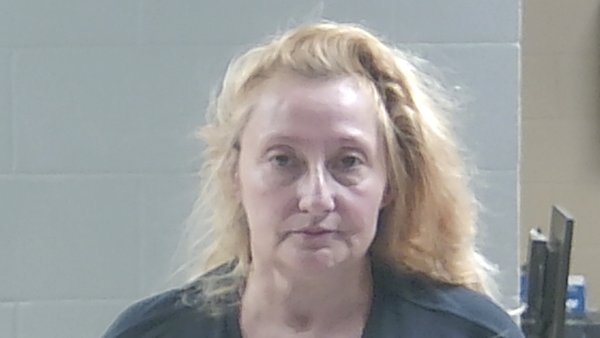 Mugshot of ROBIN ANNE BURGESS