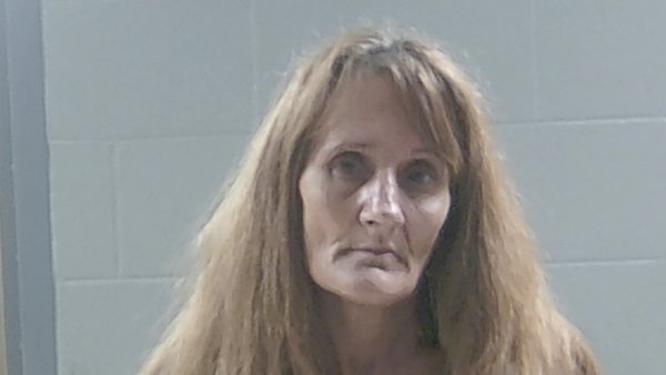 Mugshot of MELISSA PALMER