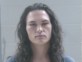 Mugshot of DAVID JACKSON HOLLOWAY