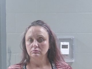 Mugshot of KERRY LANDRY