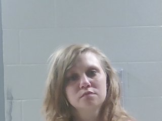 Mugshot of JAMIE LYNN DAVIS