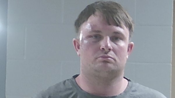 Mugshot of DAVID PARMELEE