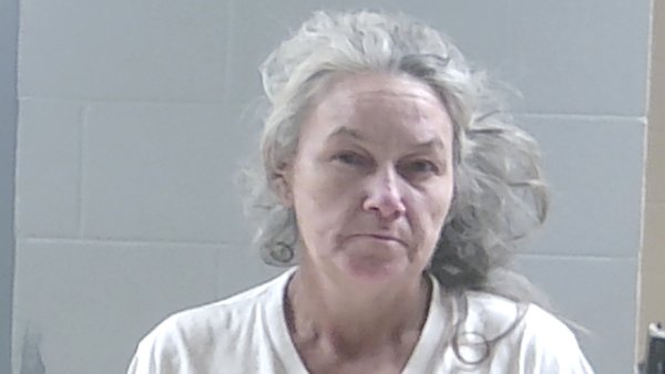 Mugshot of DANIELLE L LAIRD