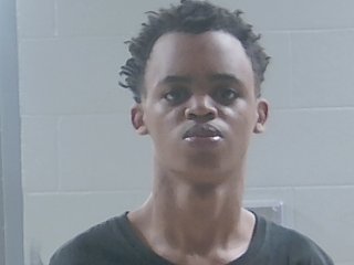 Mugshot of CHRISTOPHER WILLIAMS
