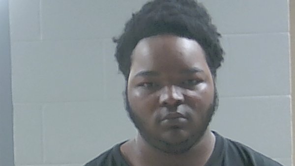 Mugshot of MARK JOHNSON