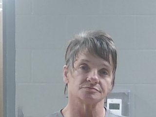 Mugshot of TAMMY HAYNES