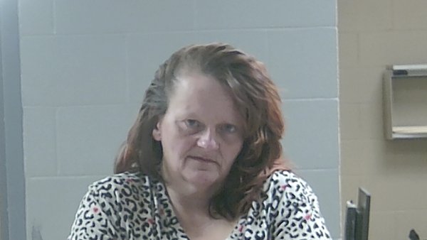Mugshot of CYNTHIA MCLIN LIPSCOMB