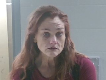 Mugshot of SEBRINA SAUCEMAN DELAHOUSSAYE