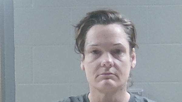 Mugshot of LISA MARIE SKIPPER