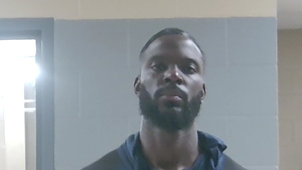 Mugshot of DALE WILLIAMS