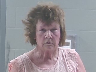 Mugshot of JANICE GUIDRY