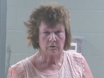 Mugshot of JANICE GUIDRY