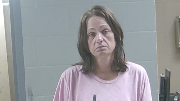Mugshot of LISA FAYE RIDER