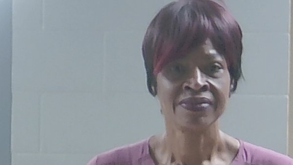 Mugshot of LISA ANN ANDERSON