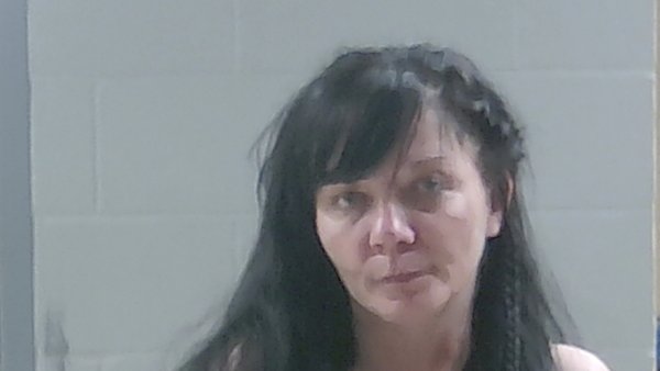 Mugshot of REBECCA LILLIE ADDISON