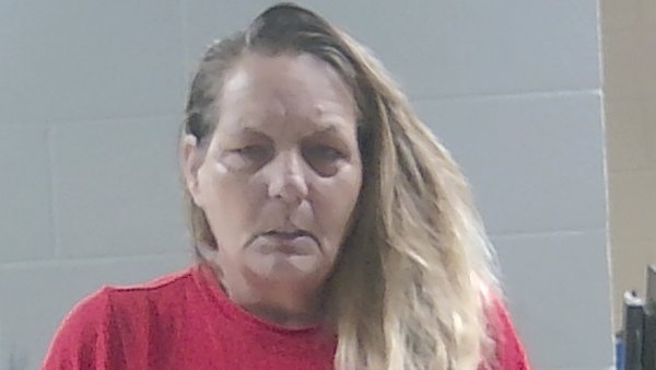 Mugshot of SHERRY L WATKINS