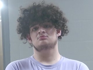 Mugshot of DENNIS BOSARGE