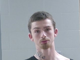 Mugshot of BRANDON WAYNE HOWLETT