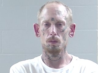 Mugshot of RONALD DOUGLAS BERGERON