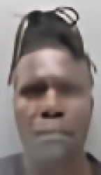 Mugshot of ANTHONY TERRELL WILSON