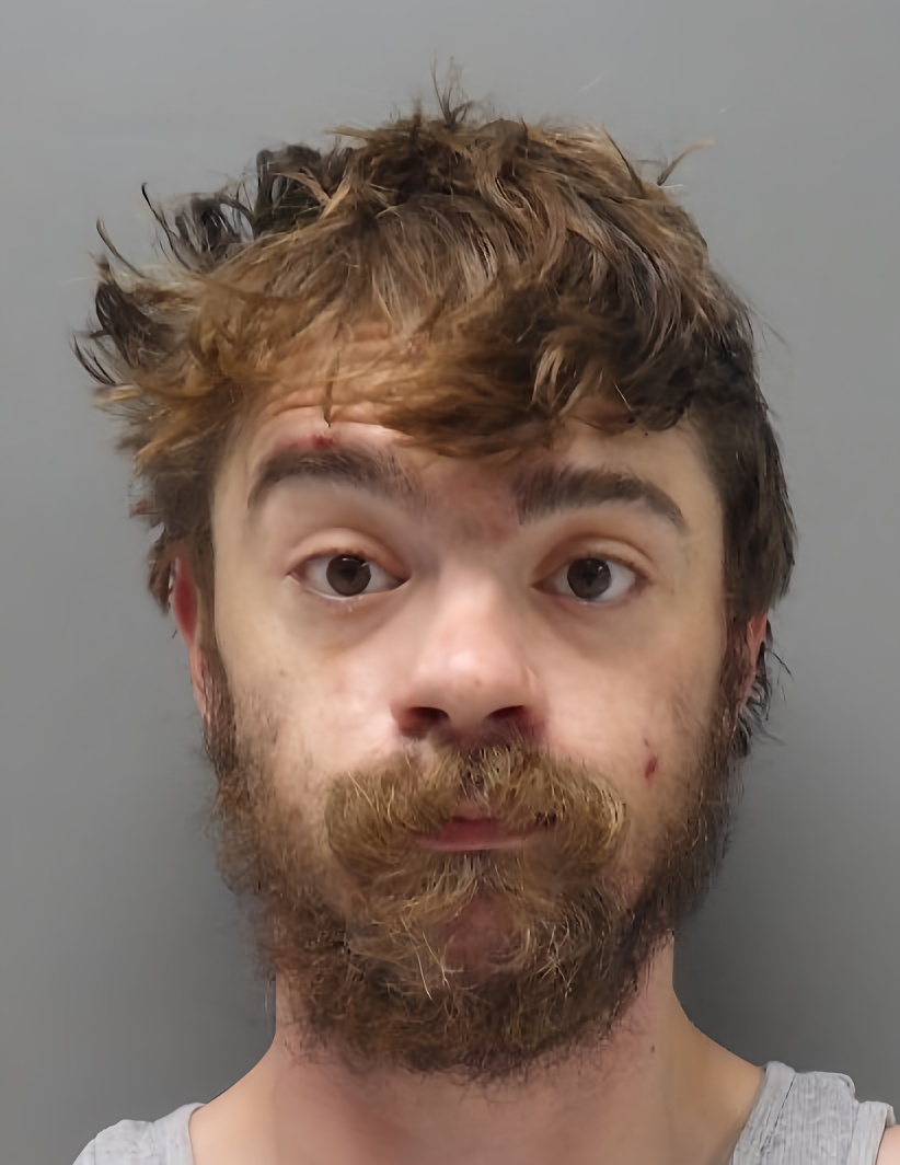 Mugshot of DAVID MADISON FERGUSON