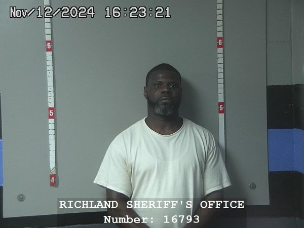Mugshot of DENNIS L NELSON