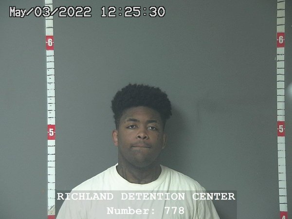 Mugshot of LEON D TURNER