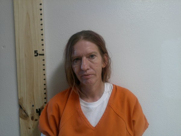 Mugshot of JESICA LYNN STEVENS