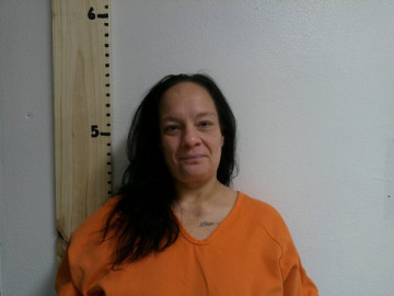 Mugshot of STEPHANIE C SEPULVADO