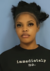Mugshot of KRISTIN ERICA DONSEREAUX