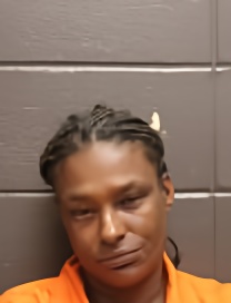 Mugshot of MARIE ANN WASHINGTON