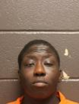 Mugshot of ASHLEY CHRISTINA ROLAND