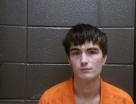 Mugshot of DORIEN GLEN-AUSTIN ALFORD