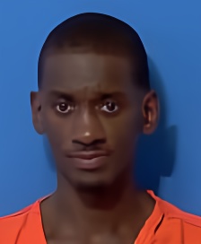 Mugshot of RODNEY J VINNETTE
