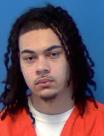 Mugshot of GRAYLIN III BURL