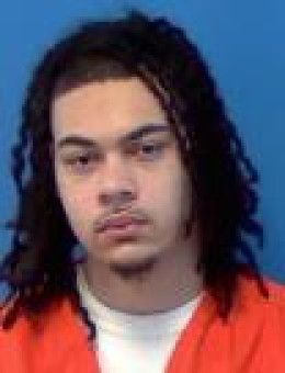 Mugshot of GRAYLIN III BURL