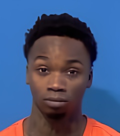 Mugshot of ERNEST IV JOHNSON