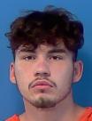 Mugshot of SHAWN T WHITE