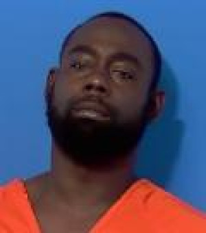 Mugshot of MICHAEL J LEE
