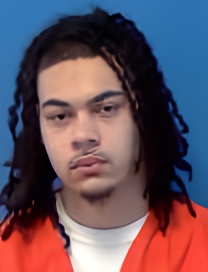 Mugshot of GRAYLIN III BURL
