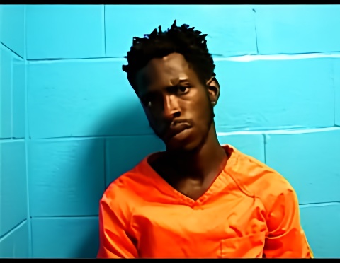 Mugshot of TYREN L ABRAHAM