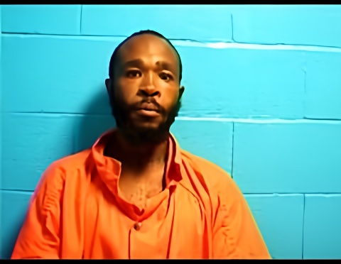 Mugshot of DARRELL L HARRIS