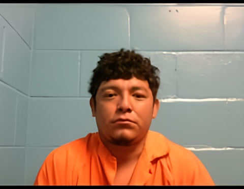 Mugshot of JOSE M PEREZ-IZAGUIRRE